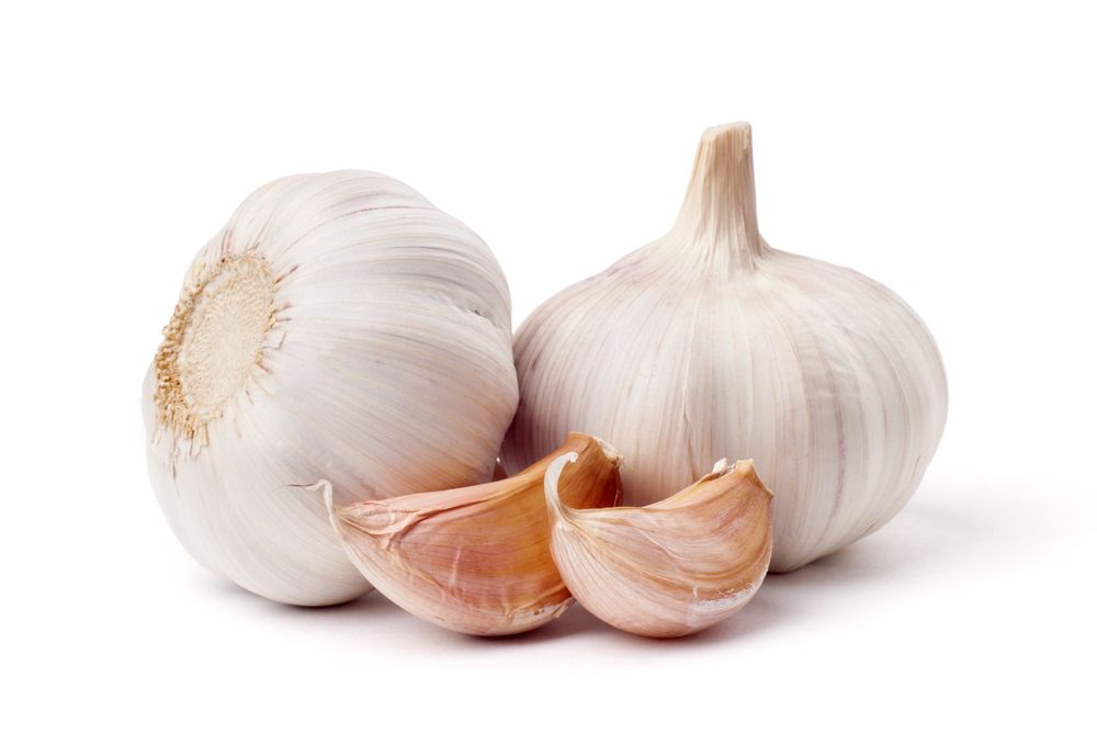 garlic_106132991.jpg