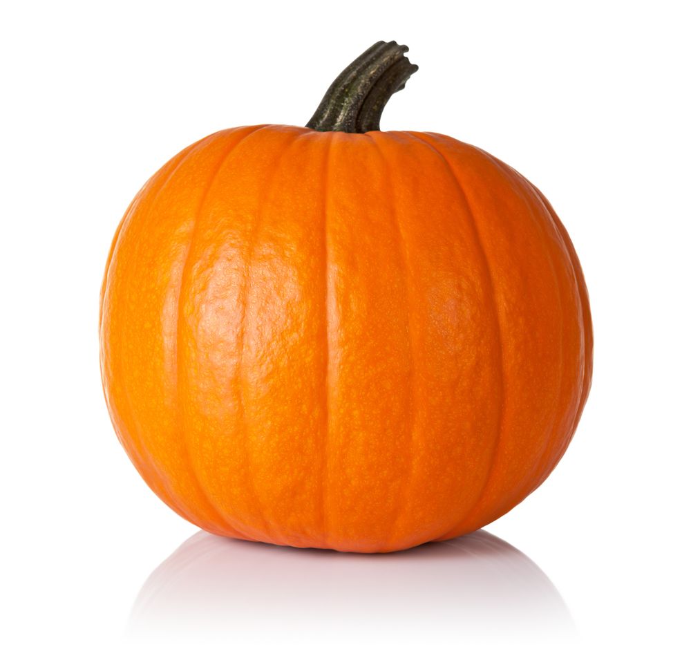 pumpkin_113989717.jpg