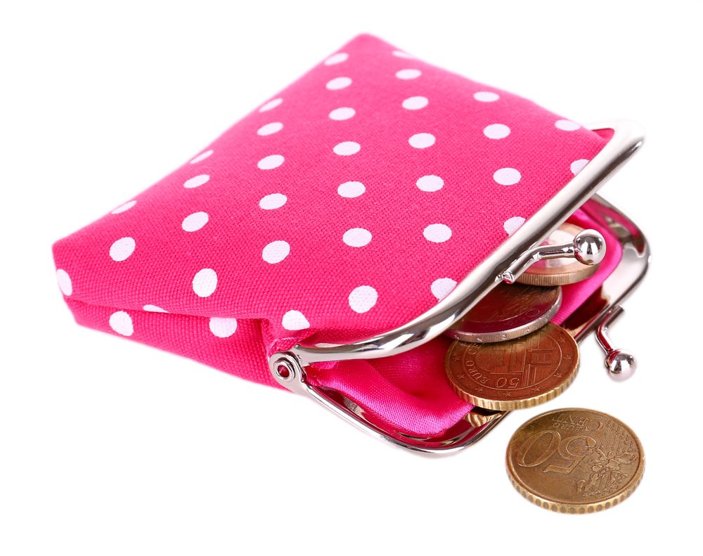 purse_164673938.jpg