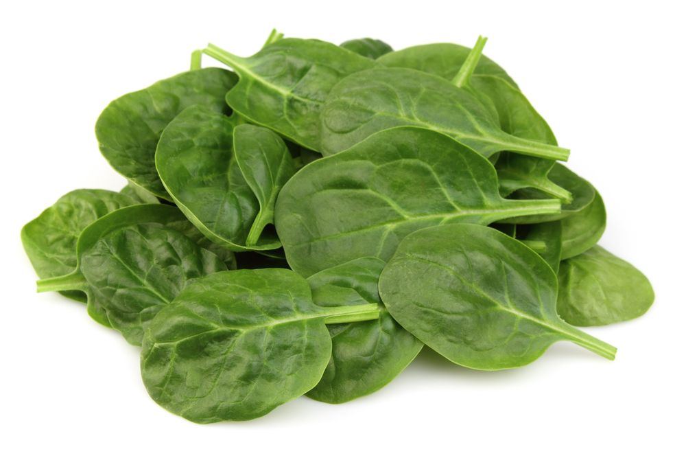 spinach_96989375.jpg
